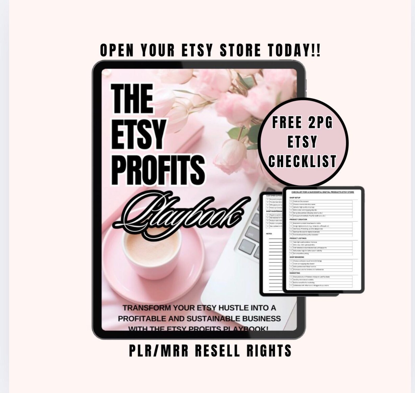 Etsy Profits Playbook: MRR/PLR Resell Rights Digital Download sellers guide