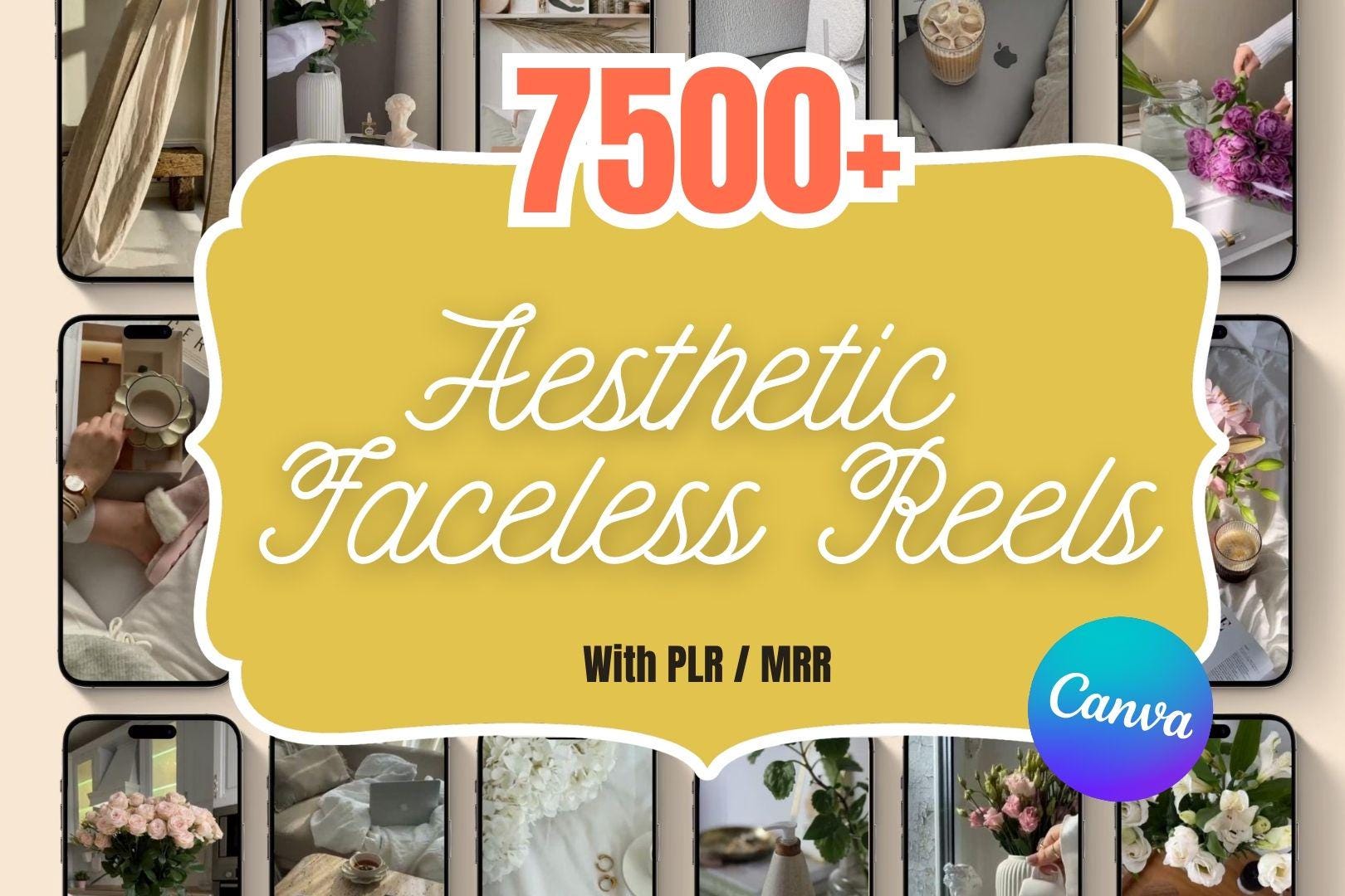 Faceless Reels – 7500+ Video & Photo Bundle (PLR/MRR License